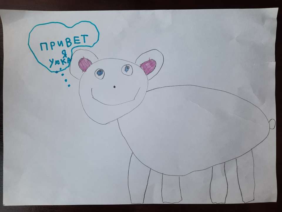 Екатерина Сергеевна Соколова