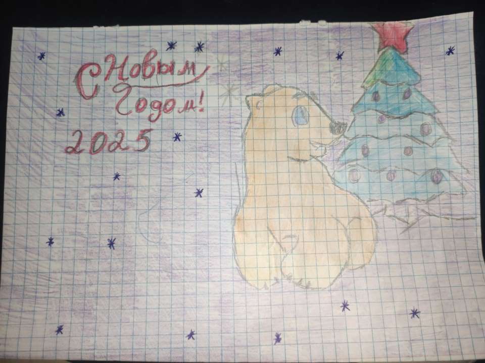 Амир Русланович Гараев