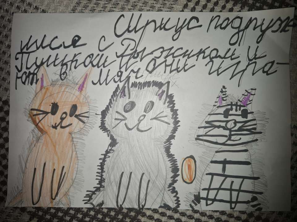 Мария Ринатовна Рахимова