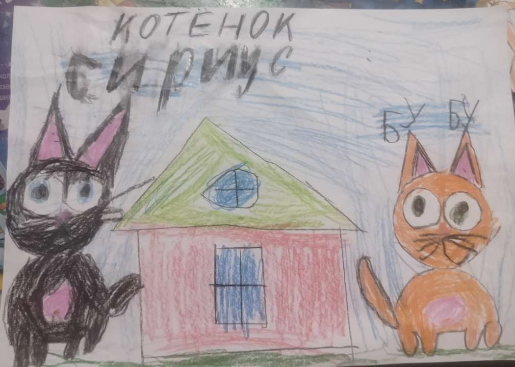 Никита Павлович Баранов