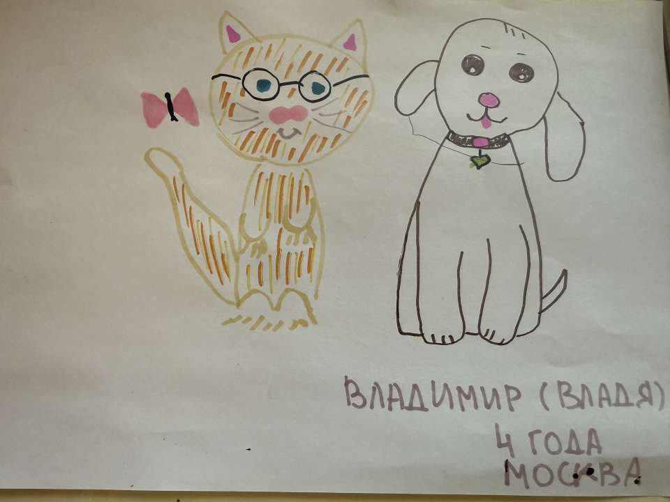 Владимир Петрович