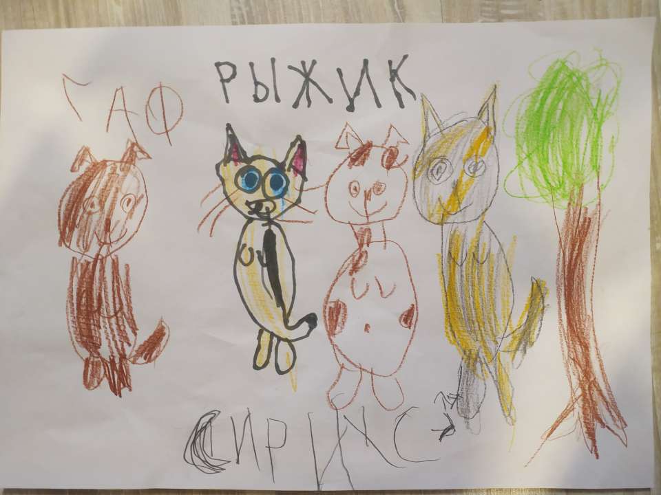 Даша Романовна Урсу
